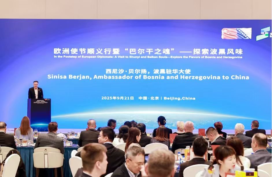 推动中欧文化合作交流